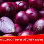 India Allows 10,000 Tonnes Of Onion Export To Sri Lanka, UAE | Economy News